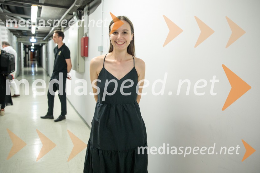 La Fura dels Baus, Joseph Haydn: Stvarjenje na 73. Ljubljana Festivalu