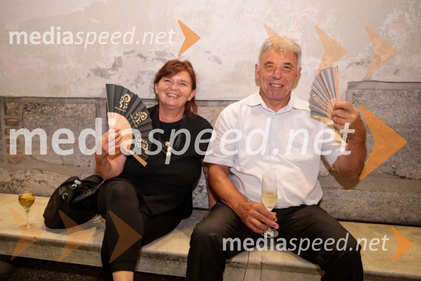 La Fura dels Baus, Joseph Haydn: Stvarjenje na 73. Ljubljana Festivalu