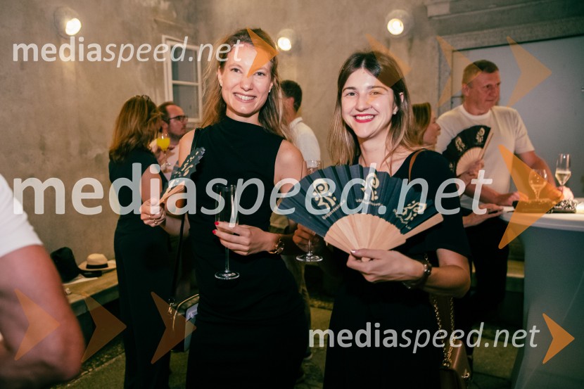 La Fura dels Baus, Joseph Haydn: Stvarjenje na 73. Ljubljana Festivalu