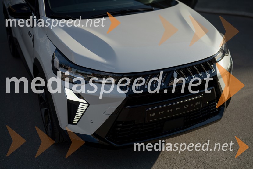 Mitsubishi Grandis: Nova doba prostorne elegance