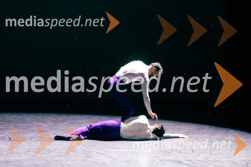 Baletni večer Edwarda Cluga na Ljubljana Festivalu