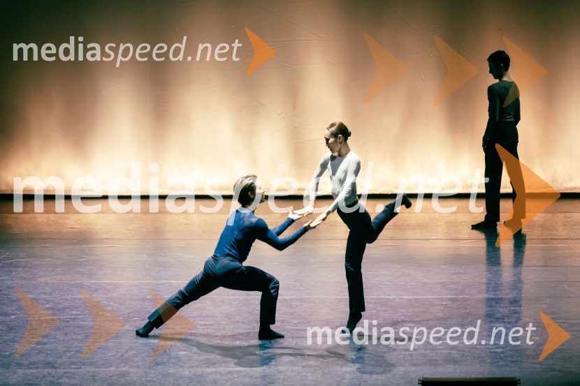 Baletni večer Edwarda Cluga na Ljubljana Festivalu