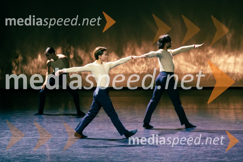 Baletni večer Edwarda Cluga na Ljubljana Festivalu