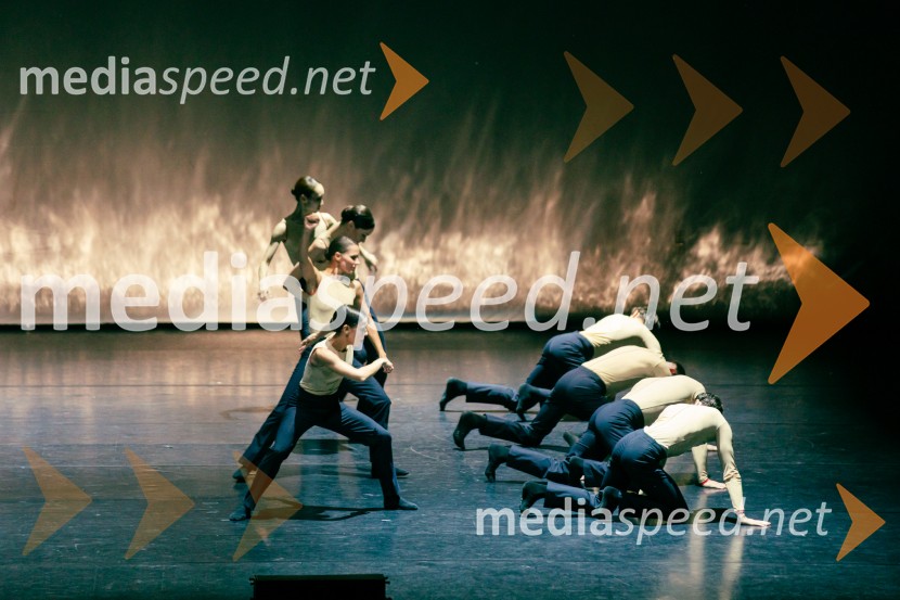 Baletni večer Edwarda Cluga na Ljubljana Festivalu