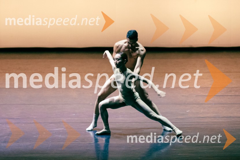 Baletni večer Edwarda Cluga na Ljubljana Festivalu