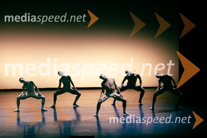 Baletni večer Edwarda Cluga na Ljubljana Festivalu