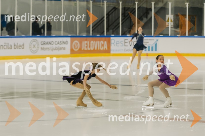 Odprtje prenovljene Ledene dvorane Bled