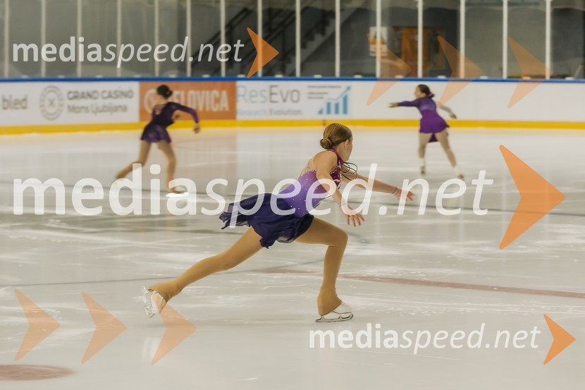 Odprtje prenovljene Ledene dvorane Bled