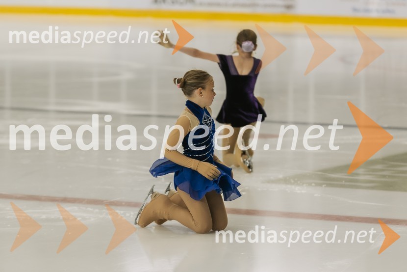 Odprtje prenovljene Ledene dvorane Bled