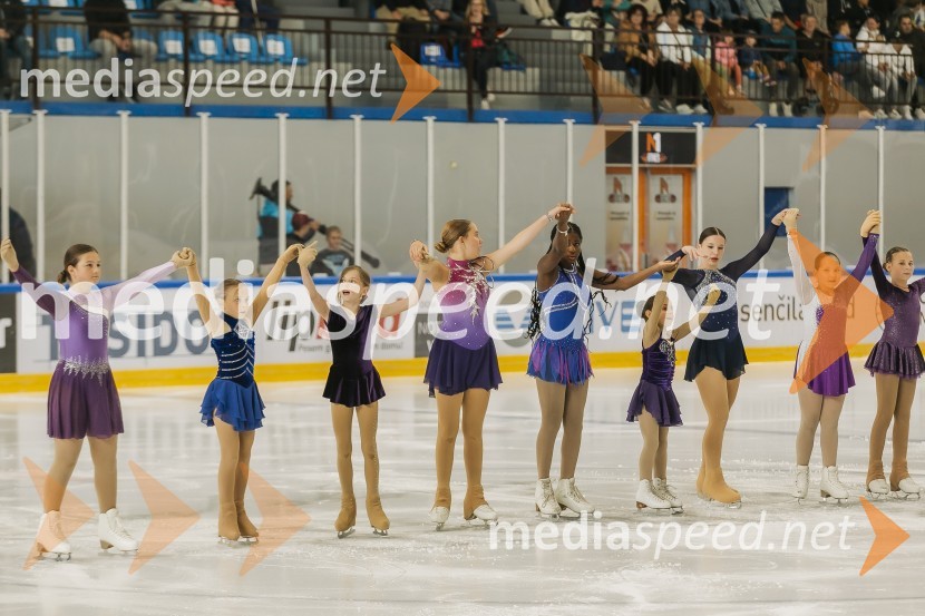 Odprtje prenovljene Ledene dvorane Bled