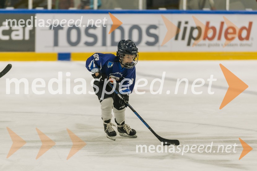 Odprtje prenovljene Ledene dvorane Bled