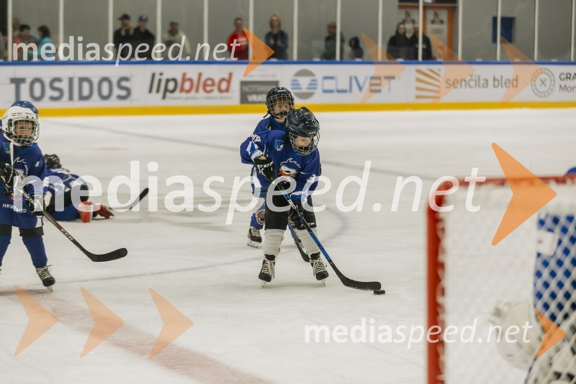 Odprtje prenovljene Ledene dvorane Bled