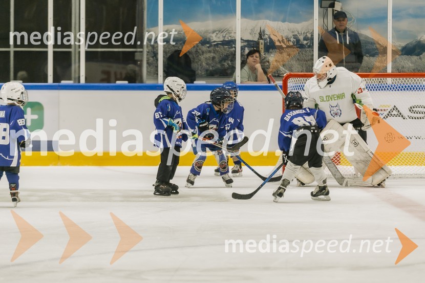 Odprtje prenovljene Ledene dvorane Bled