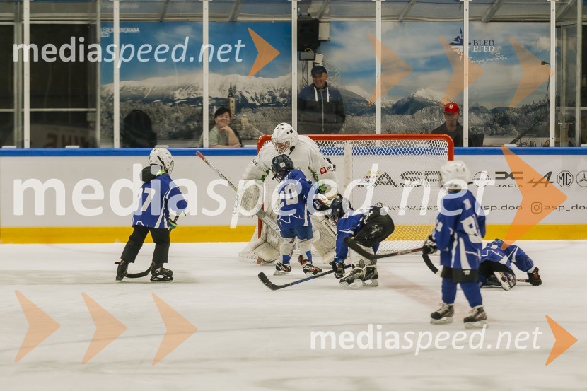 Odprtje prenovljene Ledene dvorane Bled