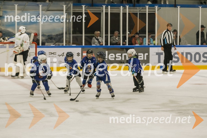 Odprtje prenovljene Ledene dvorane Bled