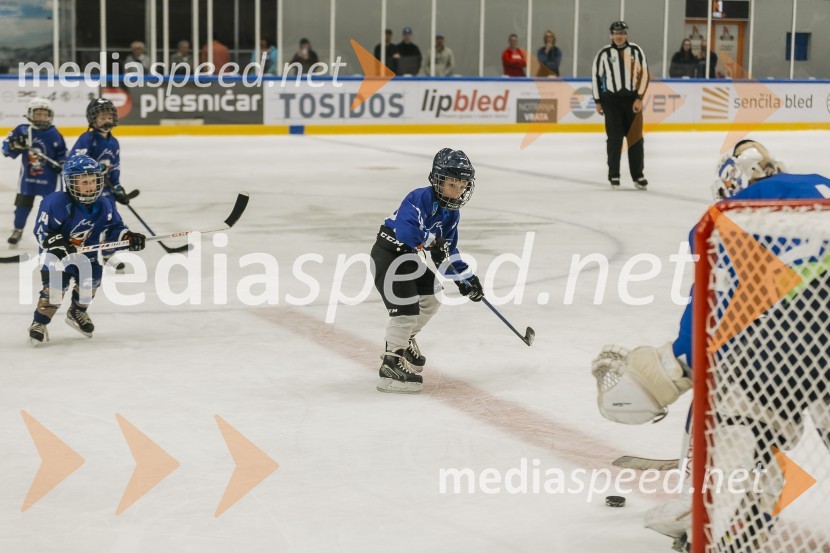 Odprtje prenovljene Ledene dvorane Bled