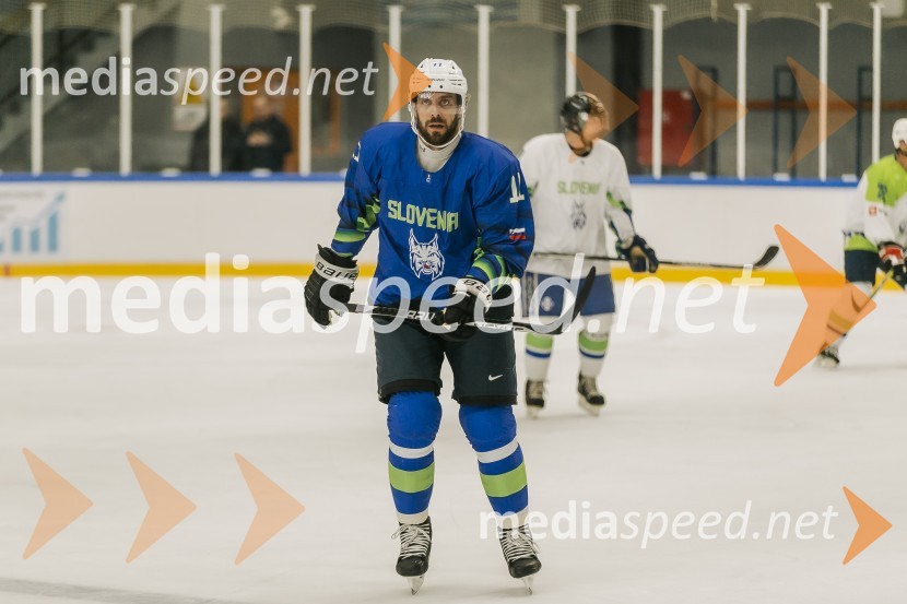  Anže Kopitar, hokejistOdprtje prenovljene Ledene dvorane Bled