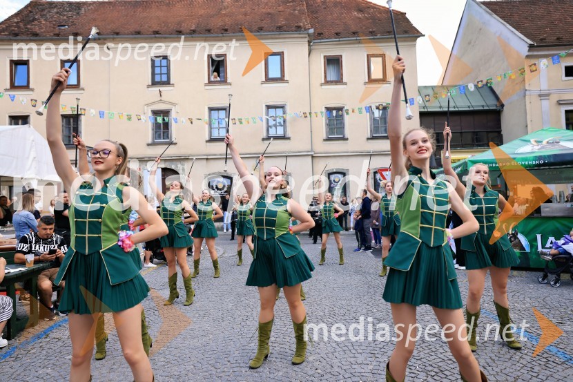 60. festival Pivo in cvetje 2025 odprli Magnifico, Šank Rock, Jan Plestenjak, Luka Basi in Dejan Dogaja