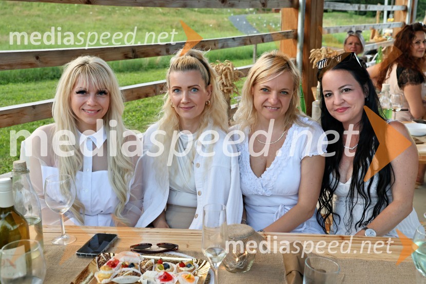  Vesna Mujakovič, podjetnica, Zavarovlna zastopniška agencija;  ... ;  ... ;  ... Piknik pod kozolcem na posestvu Štajerski cvet