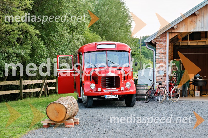 Piknik pod kozolcem na posestvu Štajerski cvet