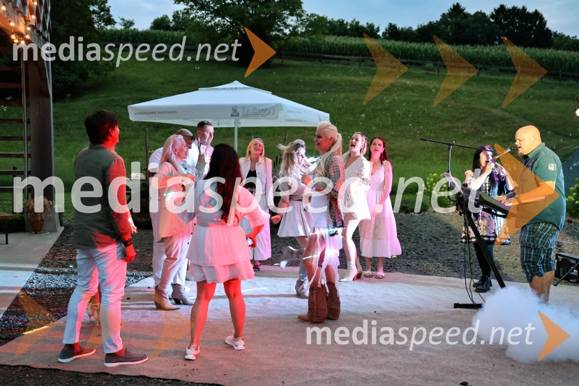 Piknik pod kozolcem na posestvu Štajerski cvet