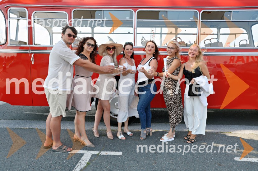 Piknik pod kozolcem na posestvu Štajerski cvet