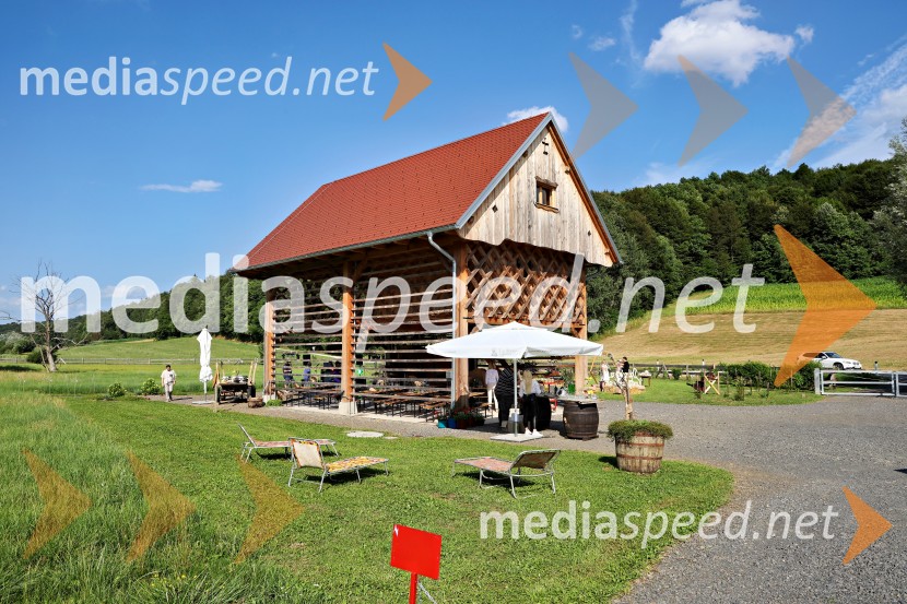 Piknik pod kozolcem na posestvu Štajerski cvet