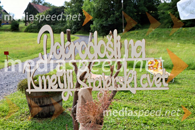 Piknik pod kozolcem na posestvu Štajerski cvet