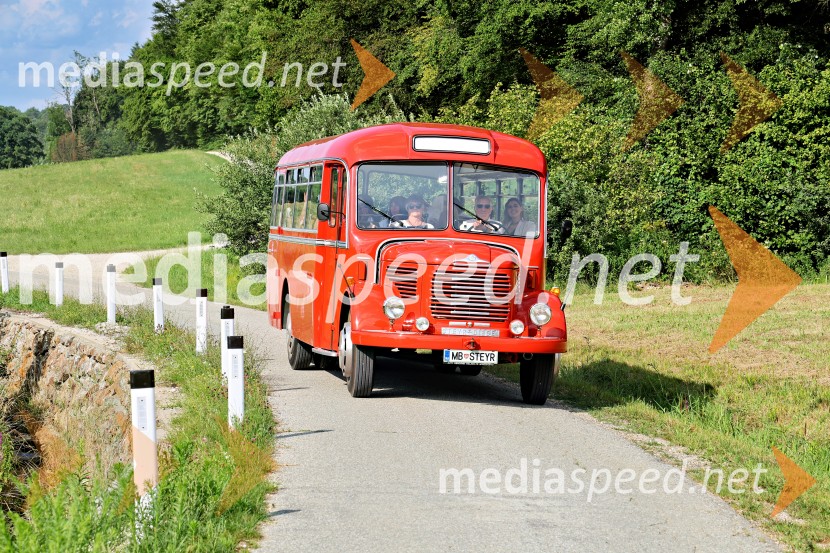 Piknik pod kozolcem na posestvu Štajerski cvet