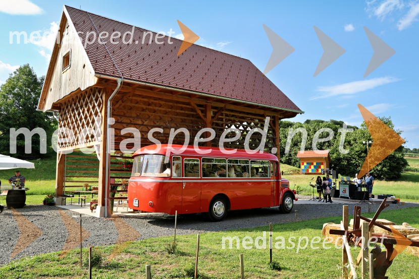 Piknik pod kozolcem na posestvu Štajerski cvet