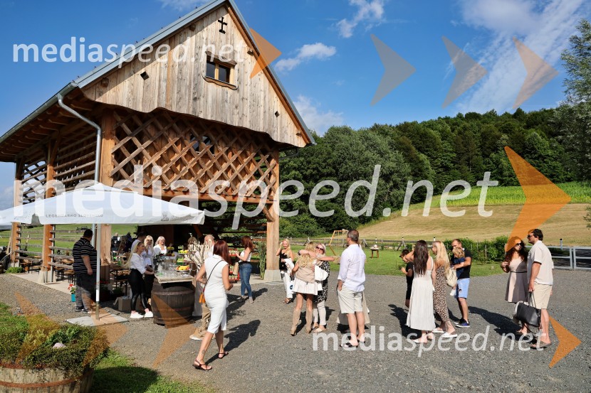 Piknik pod kozolcem na posestvu Štajerski cvet