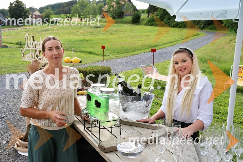 Piknik pod kozolcem na posestvu Štajerski cvet