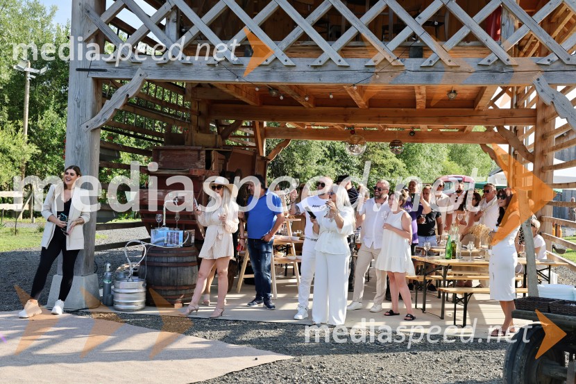 Piknik pod kozolcem na posestvu Štajerski cvet
