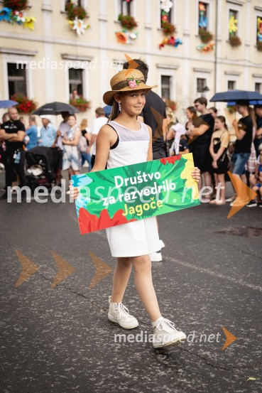 Pivo in cvetje 2025, ohcet in zaključna povorka