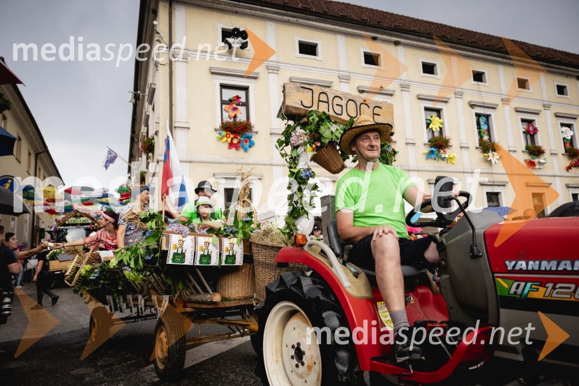 Pivo in cvetje 2025, ohcet in zaključna povorka