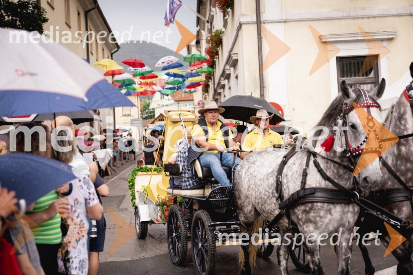 Pivo in cvetje 2025, ohcet in zaključna povorka