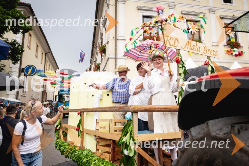 Pivo in cvetje 2025, ohcet in zaključna povorka