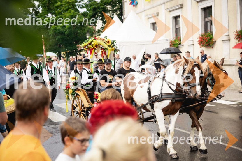 Pivo in cvetje 2025, ohcet in zaključna povorka