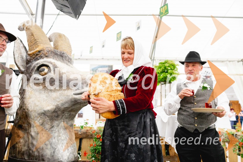 Pivo in cvetje 2025, ohcet in zaključna povorka
