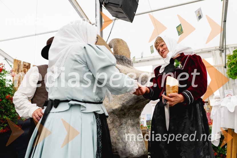 Pivo in cvetje 2025, ohcet in zaključna povorka