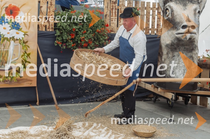 Pivo in cvetje 2025, ohcet in zaključna povorka