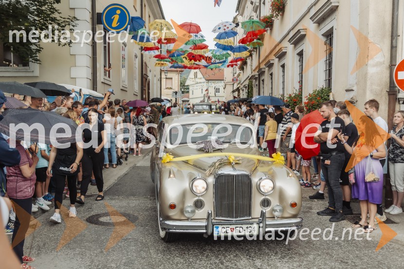 Pivo in cvetje 2025, ohcet in zaključna povorka