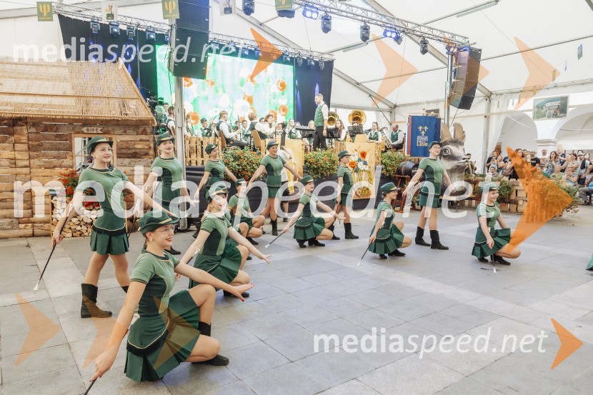 Pivo in cvetje 2025, ohcet in zaključna povorka