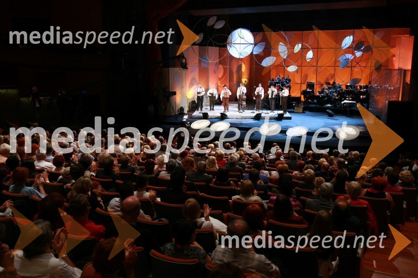 Obiskovalci40. Festival narečnih popevk 2009