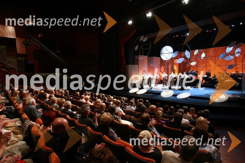 Obiskovalci40. Festival narečnih popevk 2009