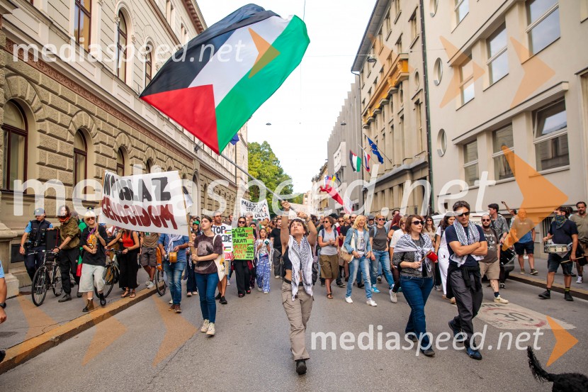 Protest civilne družbe Gaza strada, kaj dela vlada!?