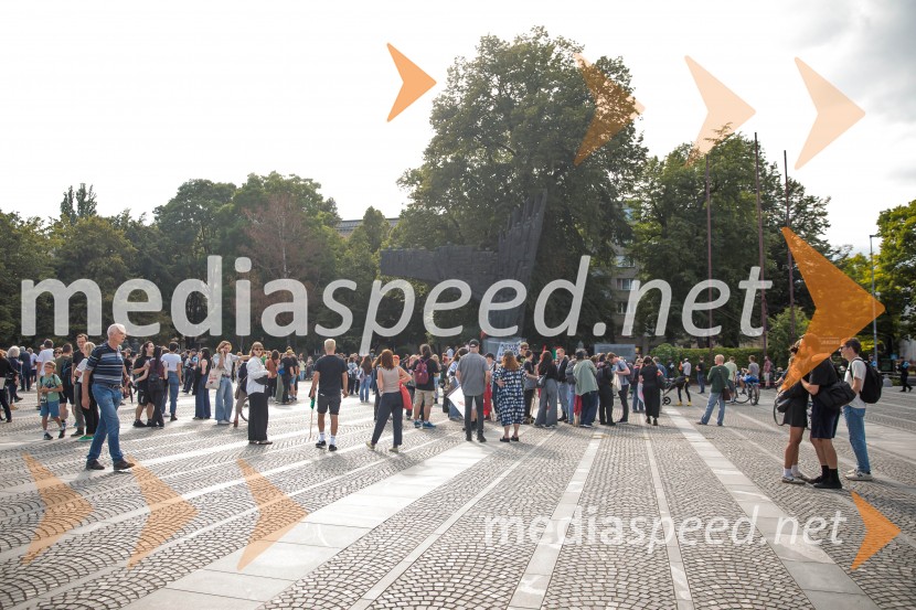 Protest civilne družbe Gaza strada, kaj dela vlada!?