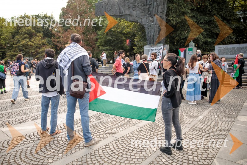Protest civilne družbe Gaza strada, kaj dela vlada!?