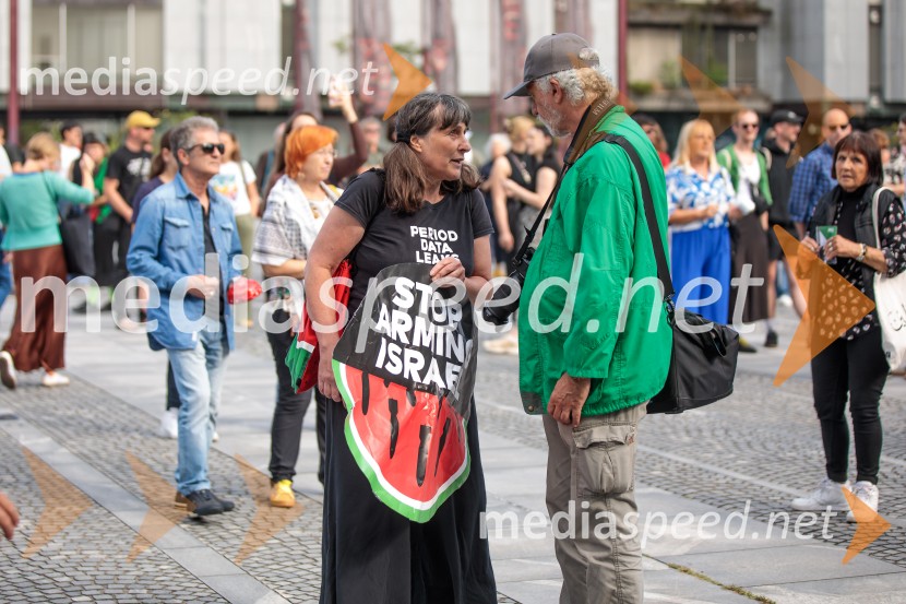 Protest civilne družbe Gaza strada, kaj dela vlada!?