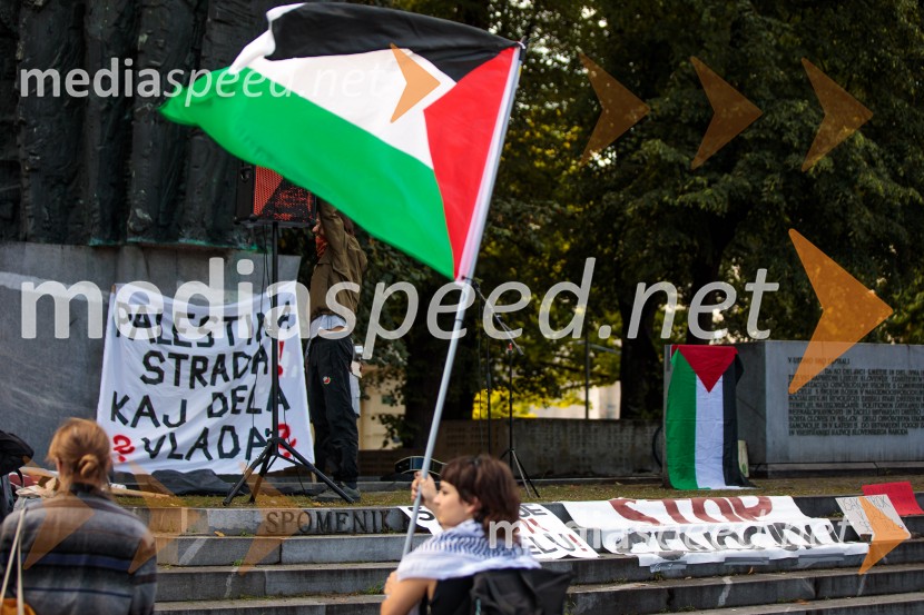 Protest civilne družbe Gaza strada, kaj dela vlada!?